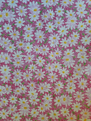 1.5 YDS Cotton Fabric Groovy Pink Floral White Daisy Fabric Traditions 2006