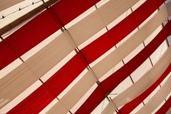Sheer Voile Fabric | Fire Retardant | 120 Yard Bolt | 120″ | Free Shipping |