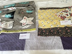 Large lot of Cotton Fabric Quilting & More Kids, Travel, Bird and More Misc Size