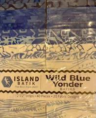 Island Batik Fabric Strips Wild Blue Yonder 40 Pieces 2.5 Inch 20 Designs