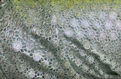 Greenish Blue Lace Polyester by the Yard for Apparel – Dress, Crafts, Wedding