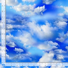Blue Sky Wide Back 108″ Cotton Quilt fabric Timeless Treasures 2-1/3 yards