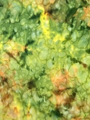 Salt Dye Green Orange Yellow Brown Textures 17″ x 44″ Width Cotton Fabric