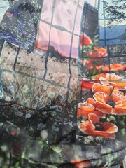 Landscape print high count cotton poplin