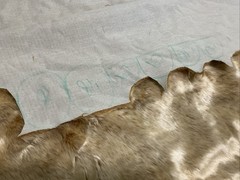 Love Sac Elk Phur Golden Brown Faux Fur Remnant- Approx. 1.75 yards