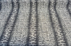 Swavelle Micado Shadow Animal Skin Chenille Upholstery Fabric By The yard