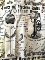 J. Wecker Frisch Tidings of Great Joy -Sewing, Seeds, Birdcages by Half Yard
