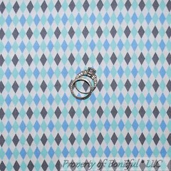 BonEful Fabric FQ Cotton Quilt Baby Boy China Asian Scooter Cat Dog Bike Scenic