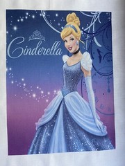 1 Disney Princess Cinderella Quilt Block Sewing Square Kid DIY Lap Glass Slipper