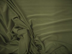 Fabric Light Weight Polyester Spandex 4 way Stretch Olive Green C407