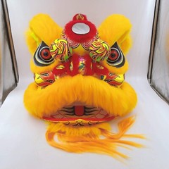 Chinese Lion Dance Costume for two children