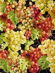Vineyard Grape Vine Fruit Wine Fabric By the Yard Cotton Benartex Cheers