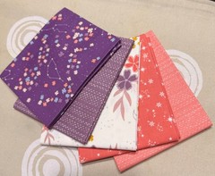 Riley Blake Moonchild 5 pc Fat Quarter Bundle