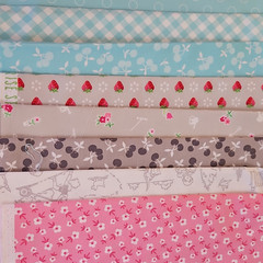 Lakehouse Dry Goods 10 piece Fat Quarter Bundle Holly Holderman Vintage Style