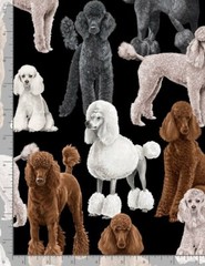 Dogs Poodle White Brown Gray Grey C7527 Timeless Treasures Durable Cotton Fabric
