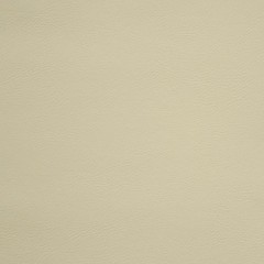Sea Doo Boat Marine Upholstery Knit Back Vinyl Khaki 54 Inch – YARD