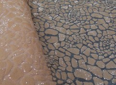 Safari Leopard peach sequin Apparel dress fabric yard