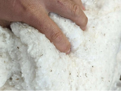 All Natural Raw Green Cotton Stuffing 10 oz. Bag – White Lotus Home